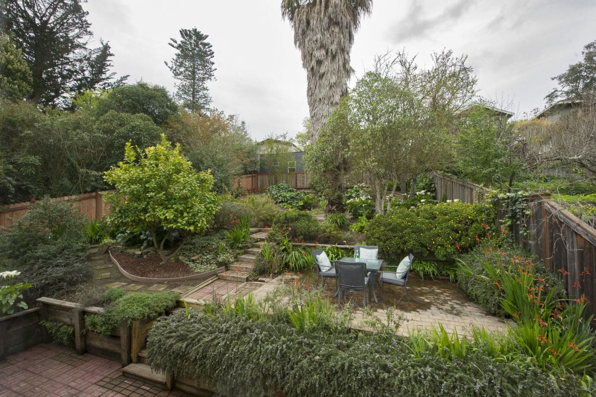 A garden with trees and bushes in the background.